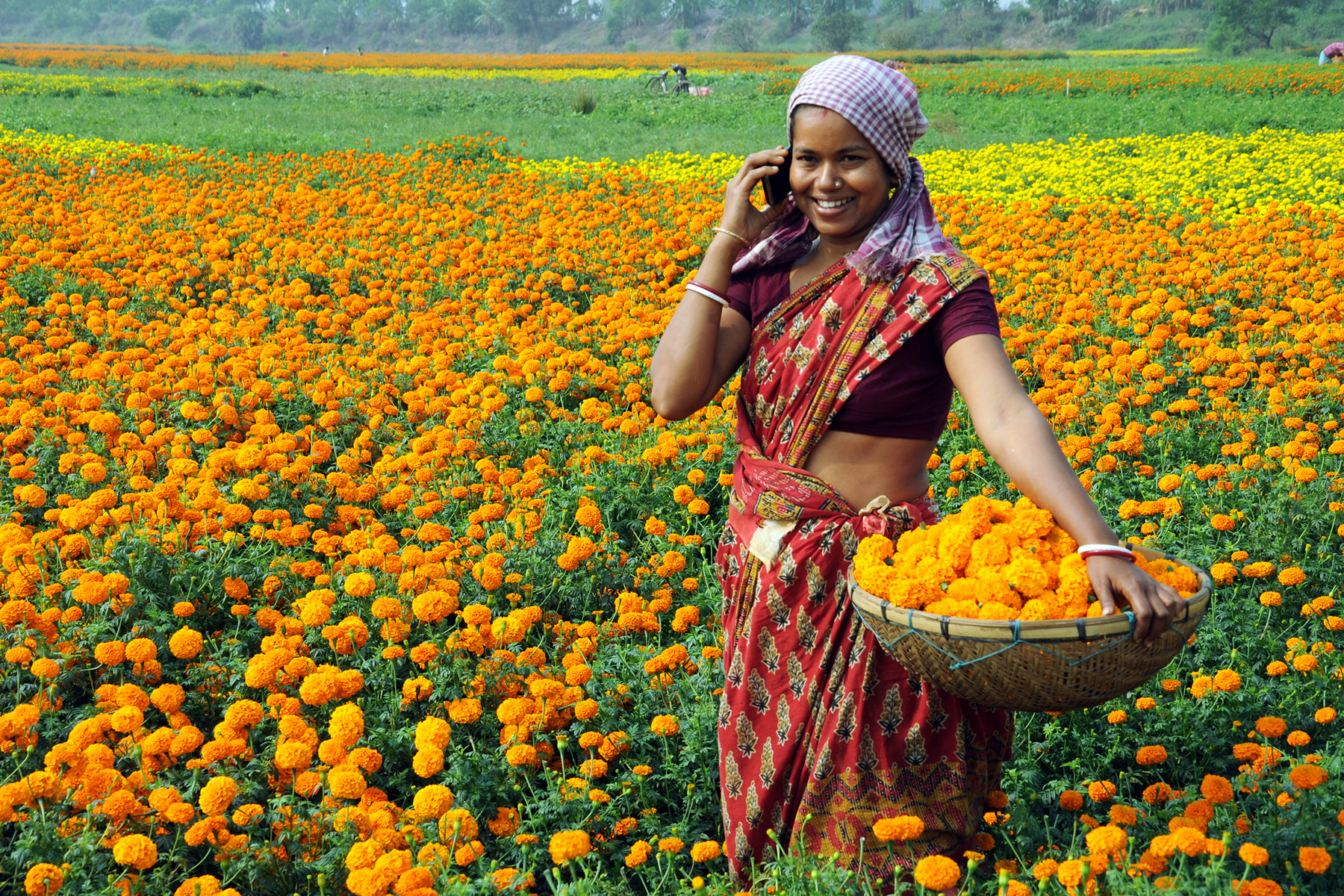Village woman. Крупные сельские женщины. Население Индии. Nova Fresh India. Marigolds field.