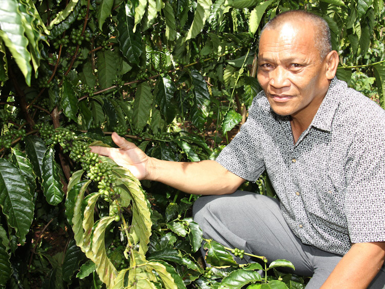 CoFFEE – Coffee Technologies and Funds to Fuel Economic Empowerment of a Community in Mindanao